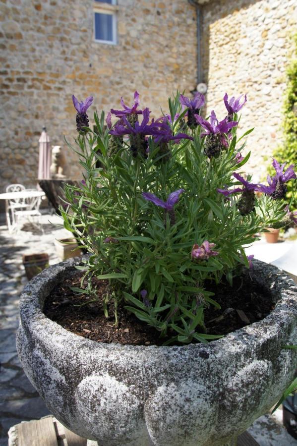 فالون بون دارْك Maison Du Manoir المظهر الخارجي الصورة